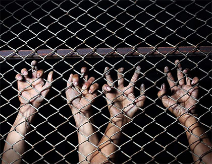 A series of hands clinging onto a chain-link fence.